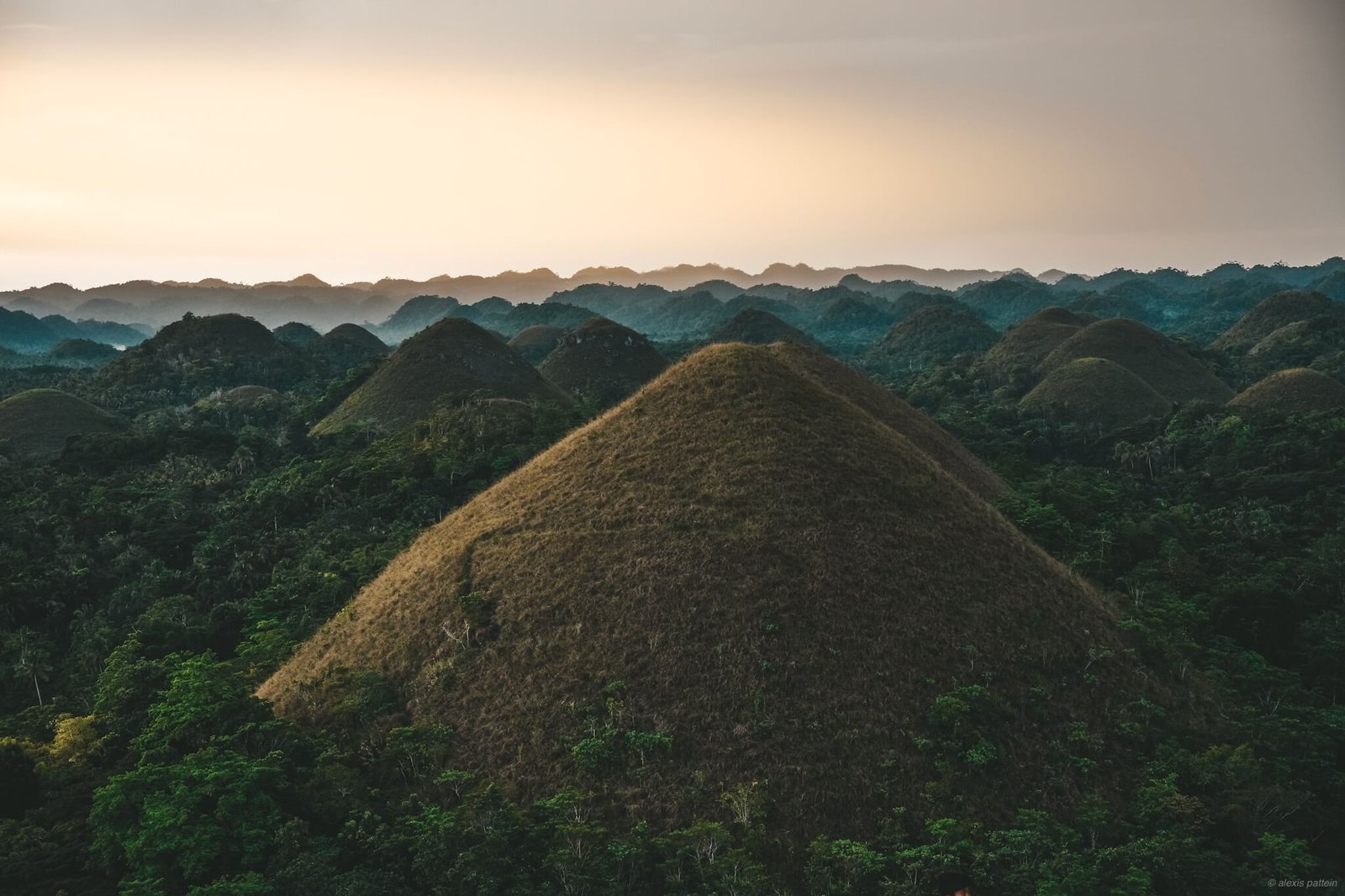 Chocolate Hills