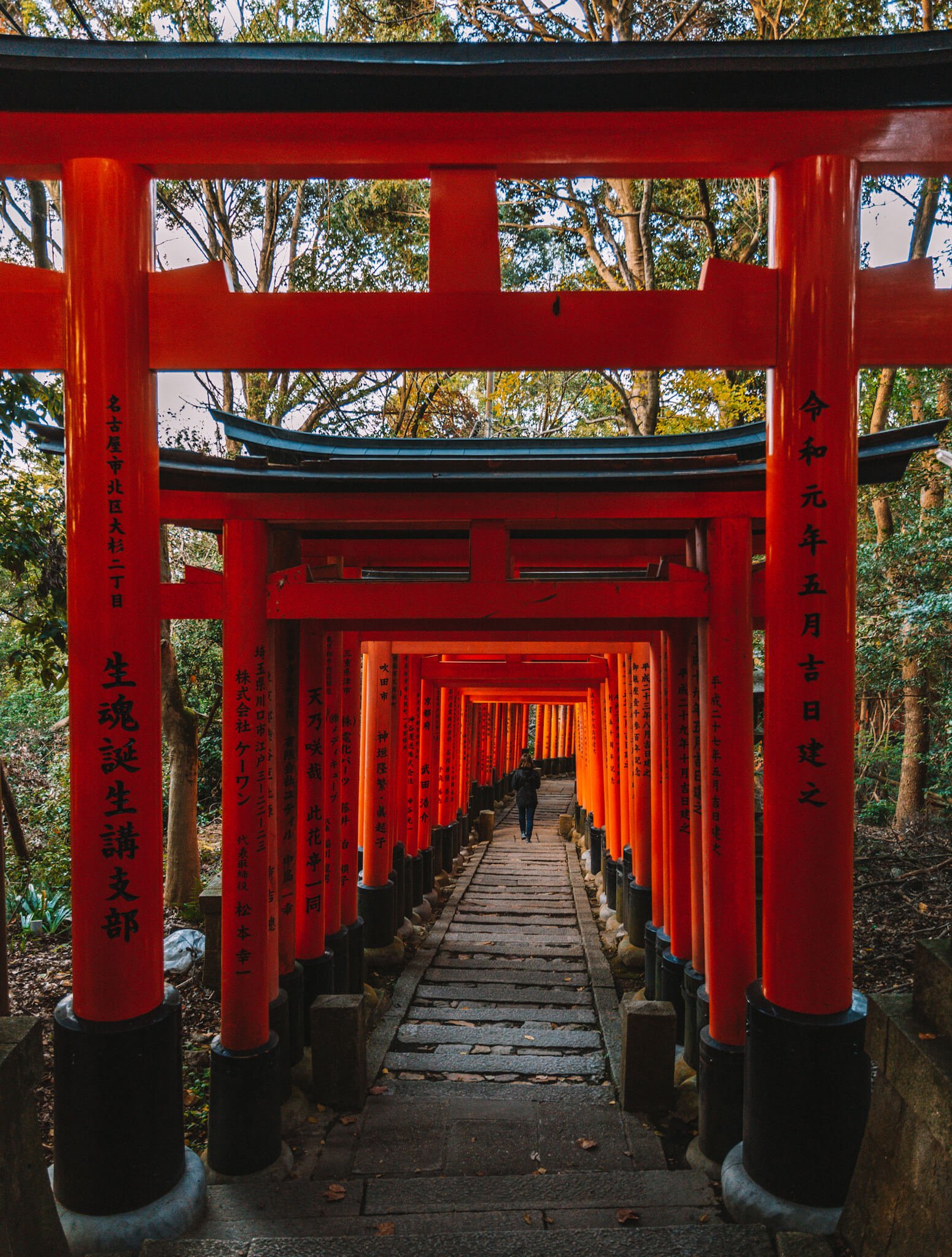 Carnet de voyage Japon : Itinéraire et retour d'expérience - Goyav