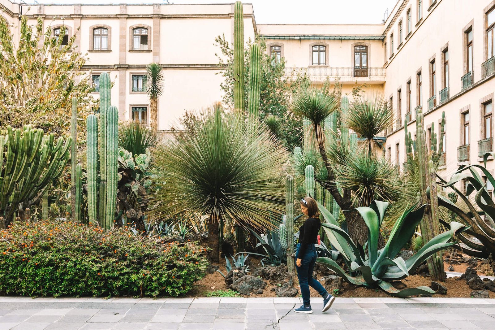 Que faire à Mexico City ? Palacio Nacional